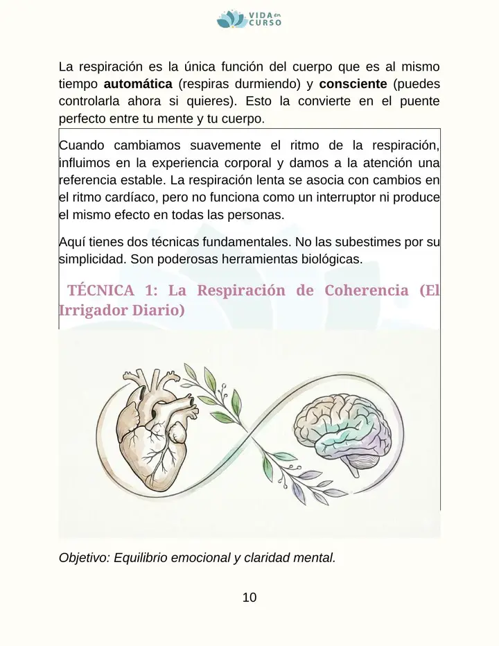 Ejemplo de una práctica ilustrada