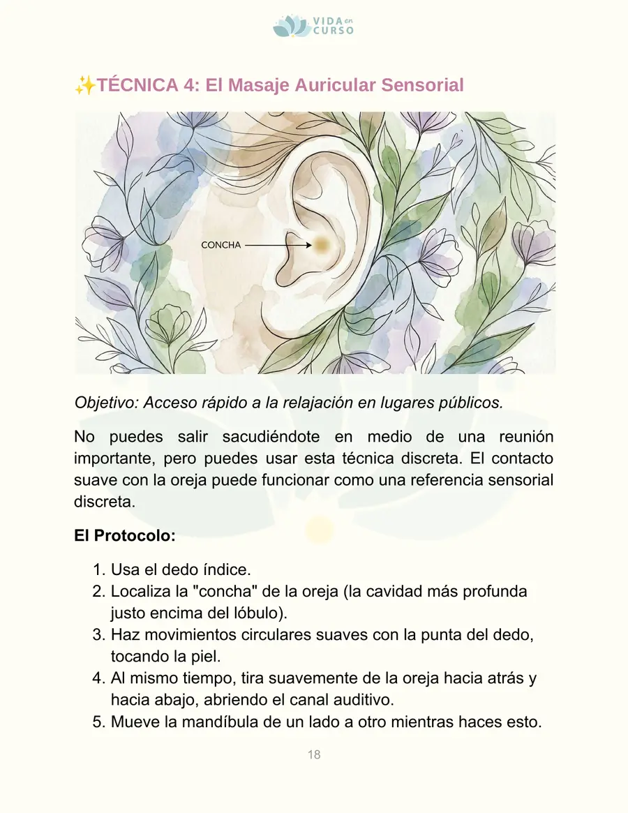 Ejemplo de una práctica ilustrada