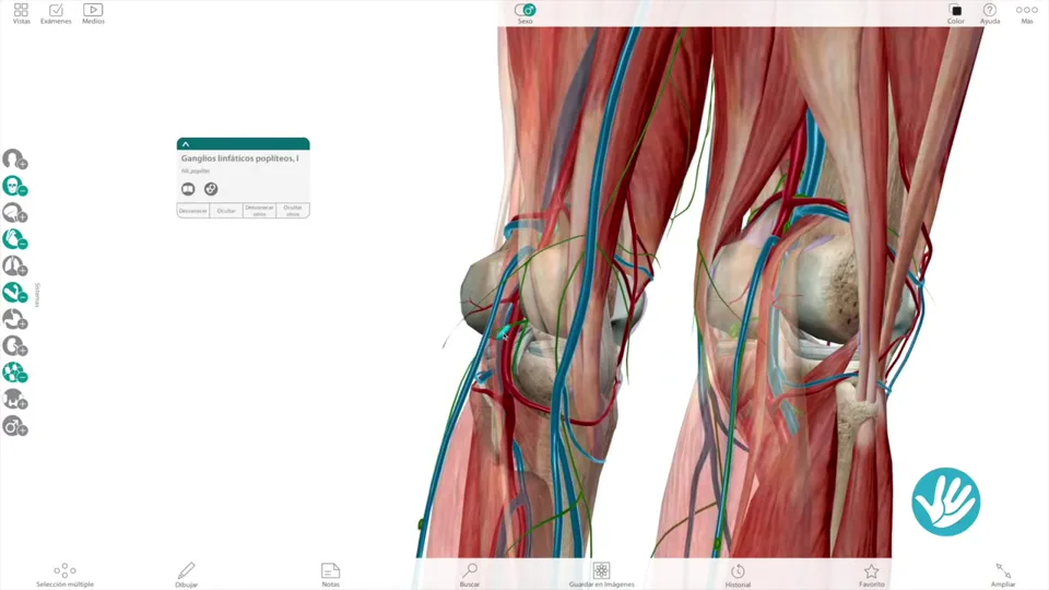 Demostración real de vendaje neuromuscular en la muñeca